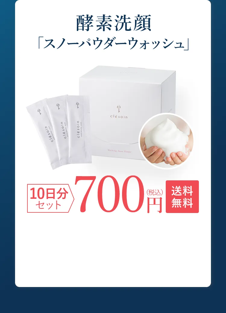 酵素洗顔 「スノーパウダーウォッシュ」 10日分セット 送料無料 700円