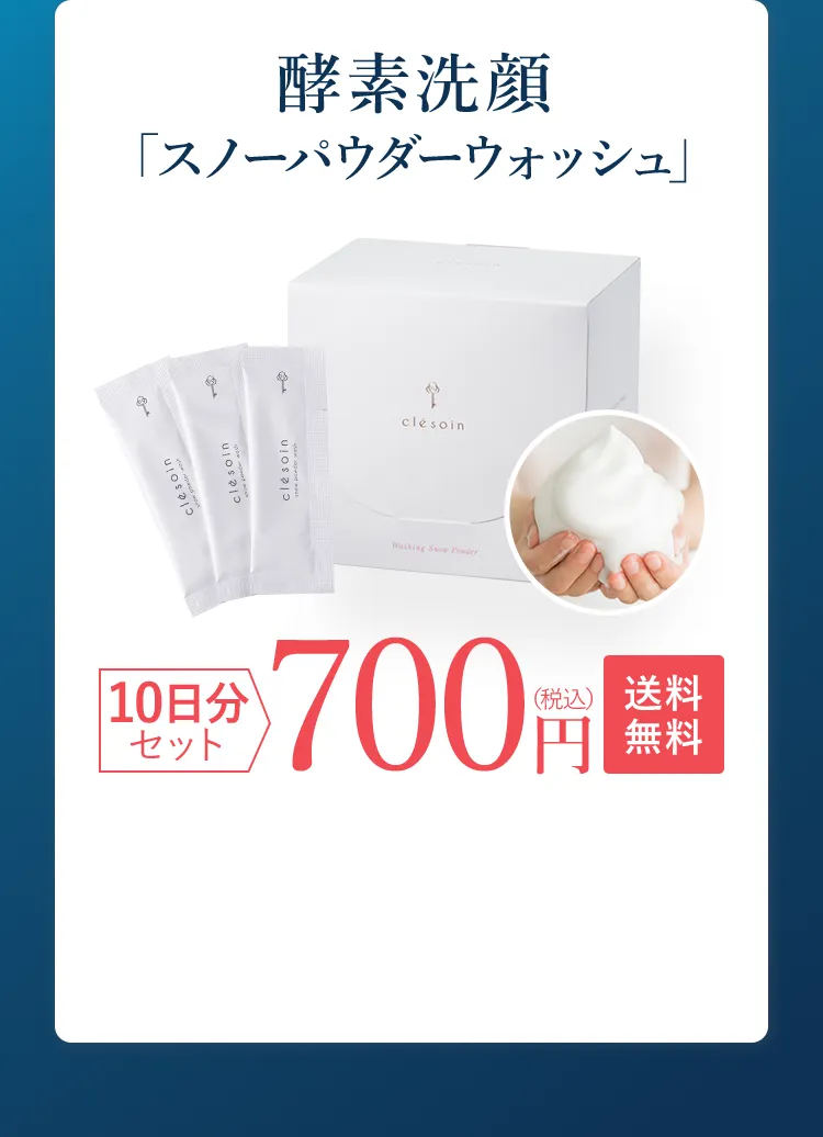 酵素洗顔 「スノーパウダーウォッシュ」 10日分セット 送料無料 700円