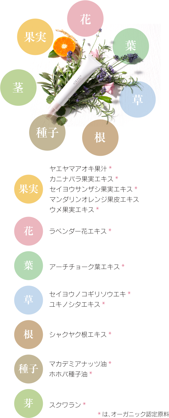 スノーブライトインクリーム Clesoin クレソワン